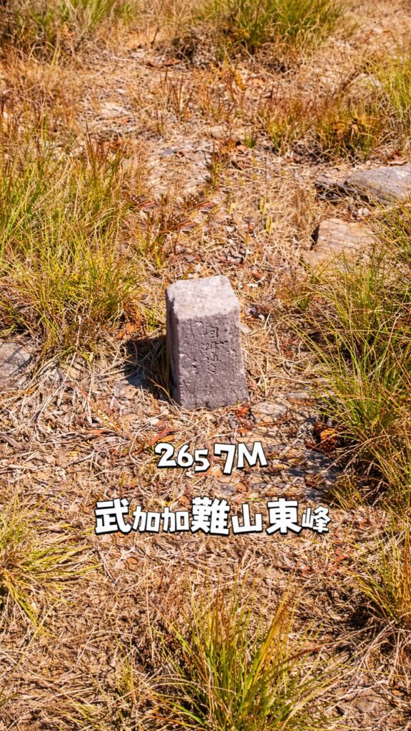 武加加難山登山途中景色